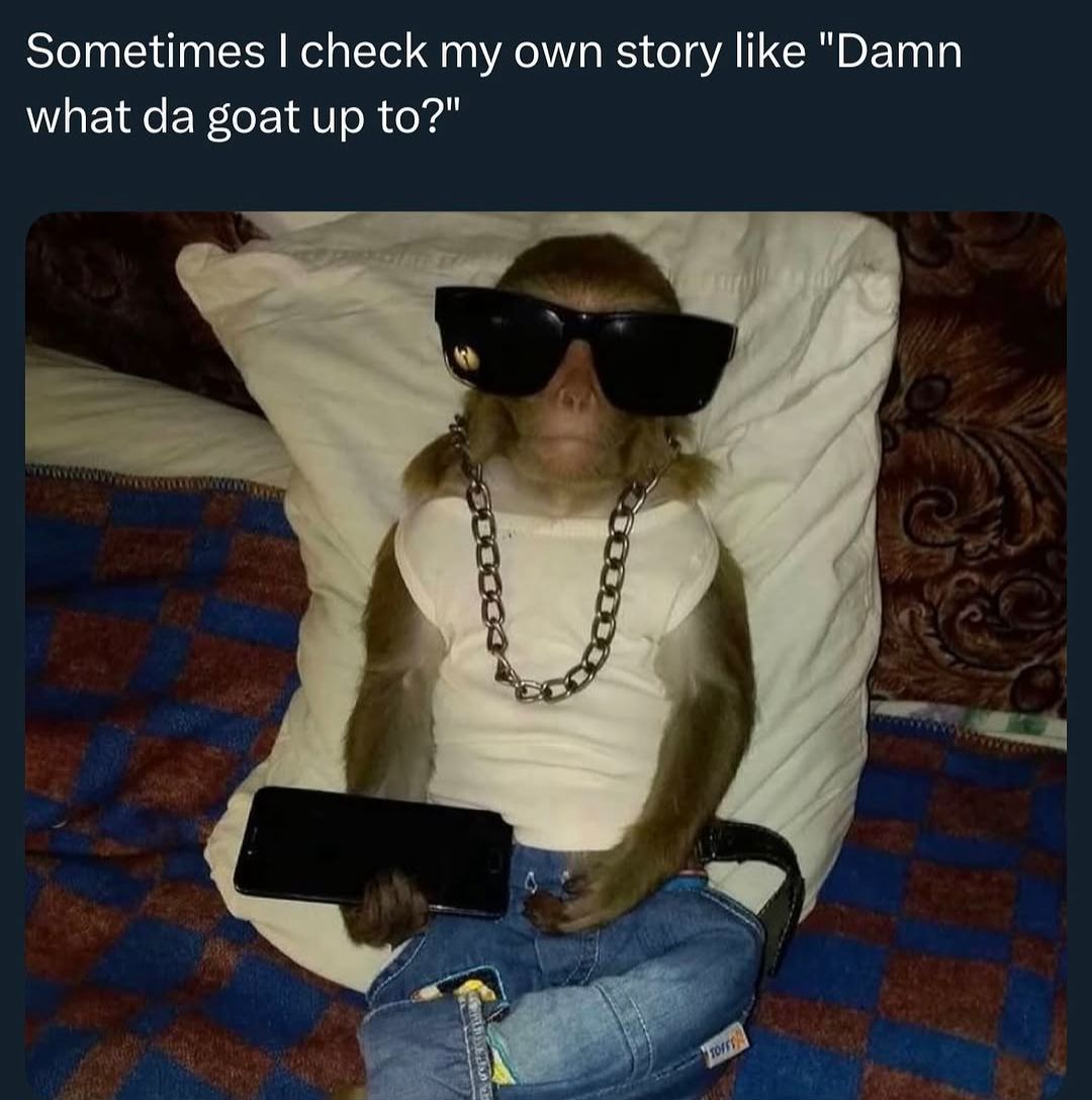 WhatsApp Image 2026-01-05 at 2.43.35 AM (6).jpeg